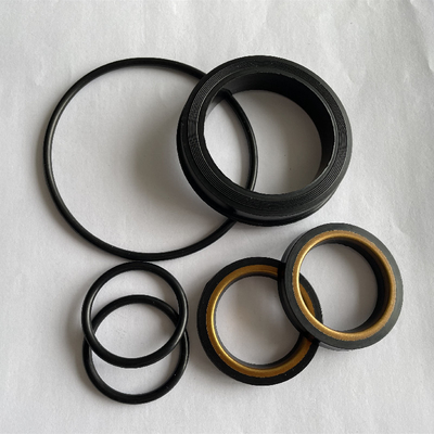 Kit per la riparazione di valvole di presa resistenti al calore dell'olio H2S -20-220 gradi Celsius per il giacimento di petrolio