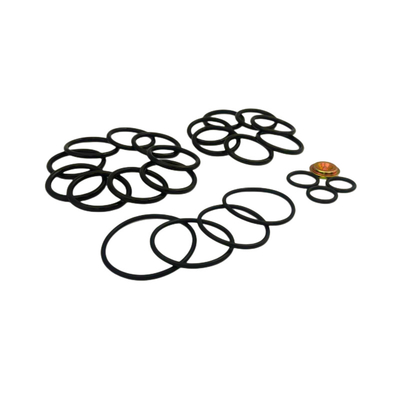 FKM EPDM NBR Anelli Colori personalizzati Kit di riparazione # 10 Baker Setting Tools per il plug di ponte