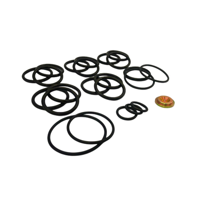 FKM EPDM NBR Anelli Colori personalizzati Kit di riparazione # 10 Baker Setting Tools per il plug di ponte