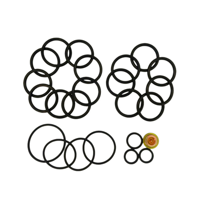 FKM EPDM NBR Anelli Colori personalizzati Kit di riparazione # 10 Baker Setting Tools per il plug di ponte