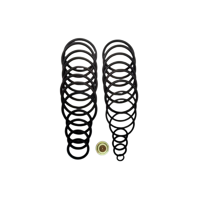 # una riparazione Kit Oilfield Completion Rubber O Ring Seals di 20 BP3.SEC