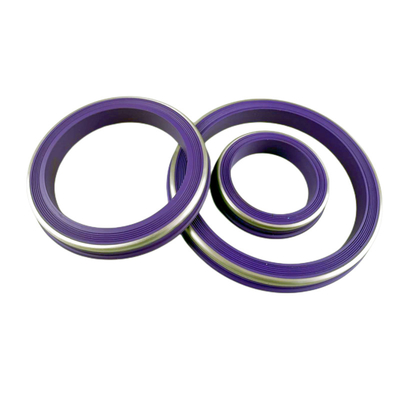 Funzionamento di tenuta affidabile Buna-N HNBR Elastomer Lip Ring con supporto in ottone