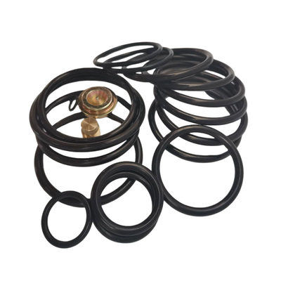 Buona resistenza chimica NBR HNBR FKM gomma numero 10 kit di riparazione strumento di impostazione