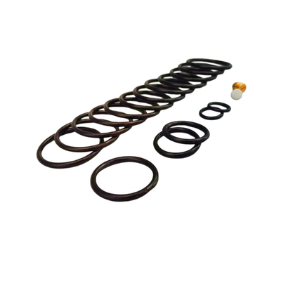 Ozone e resistenza all'invecchiamento impermeabile NBR HNBR FKM gomma 312 Shorty Redress Kit per olio riempito strumenti di completamento
