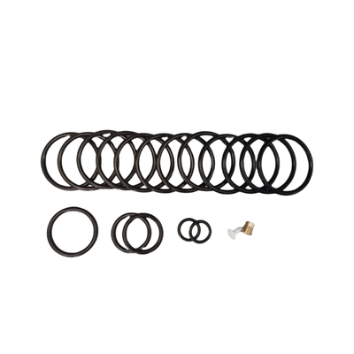 Ozone e resistenza all'invecchiamento impermeabile NBR HNBR FKM gomma 312 Shorty Redress Kit per olio riempito strumenti di completamento
