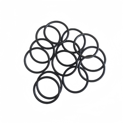 Diverse dimensioni BUNA O-Ring Seal 80 Shore A per la figura 206 Hammer Unions