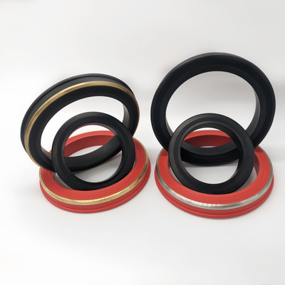 Elastomer 1502 Union Lip Seal Gasket con supporto in acciaio inossidabile