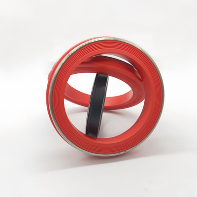 Elastomer 1502 Union Lip Seal Gasket con supporto in acciaio inossidabile