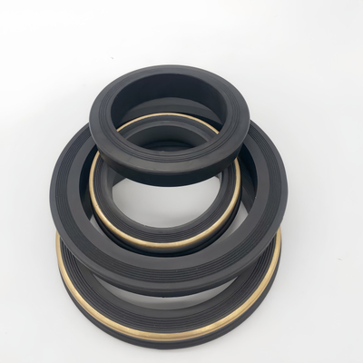 Elastomer 1502 Union Lip Seal Gasket con supporto in acciaio inossidabile