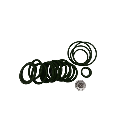 Kit di riparazione personalizzato per la presa di ponte con anelli FKM EPDM NBR 20 attrezzi di impostazione Baker