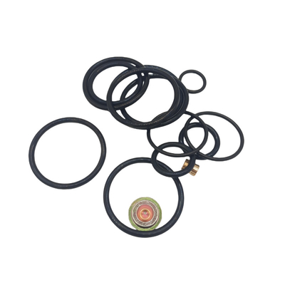 DWS 3 58 Kit di riparazione compatto Kit di sigillo in gomma per l'industria petrolifera e del gas
