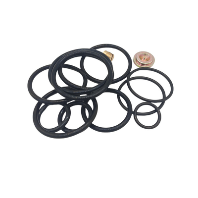 DWS 3 58 Kit di riparazione compatto Kit di sigillo in gomma per l'industria petrolifera e del gas