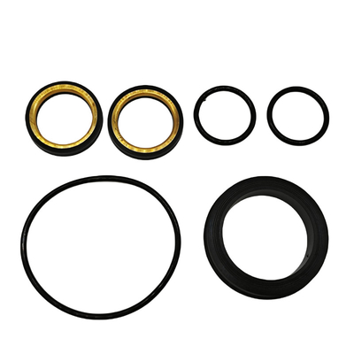 Buona resistenza all'olio Nbr gomma 4 pollici 602 bassa coppia plug valvola Soft Seal Kit per impostazione strumento