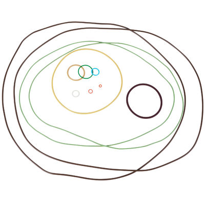 Fabbricante di O-Ring Premium resistente all'olio AS568 Precision FFKM Rubber O-Rings For Natural Gas