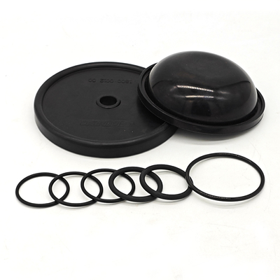 Kit di riparazione della pompa del diaframma NBR FKM Materiale di gomma