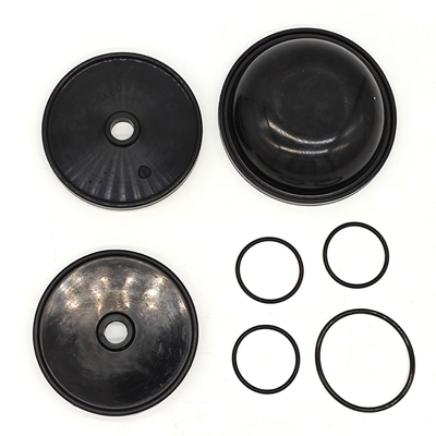 Kit di diaframma Blueflex per pompe Ar30/40