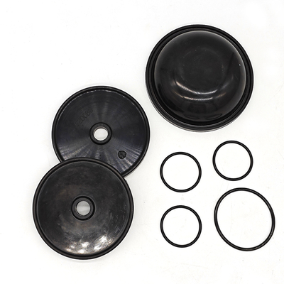 Kit di diaframma Blueflex per pompe Ar30/40