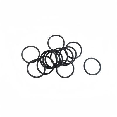 Guarnizione O-Ring in Gomma PTFE NBR FKM EPDM di Dimensioni Personalizzate con Colore Personalizzato per Varie Applicazioni