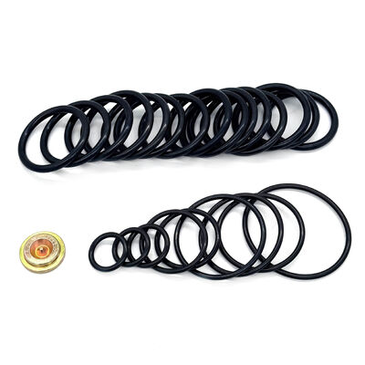 15Kit di imballaggio da 1000 PSI per strumento di impostazione della pressione in stile #10 - Kit di riparazione compatibile con il petrolio greggio con kit di adattamento via cavo (WAK)