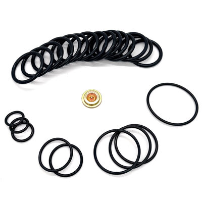 15,000 PSI #10 Style Wireline Adapter Redress Kit con sigilli HNBR Viton Aflas NBR Certificato ISO 9001