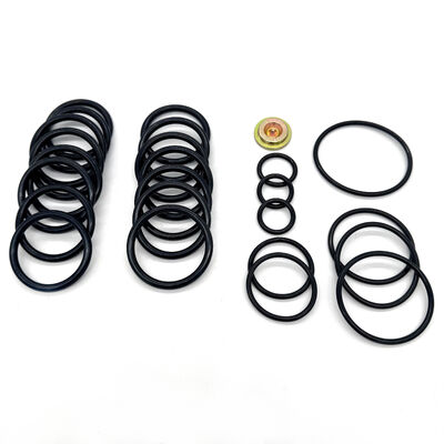 15,000 PSI #10 Style Wireline Adapter Redress Kit con sigilli HNBR Viton Aflas NBR Certificato ISO 9001