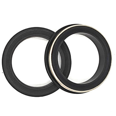 Sigillo e guarnizione per il servizio acido (H2S) ad alta pressione 20,000 PSI con materiale PTFE