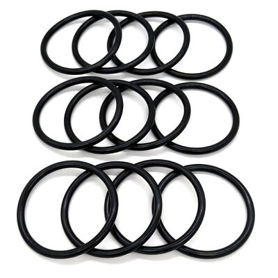 O-Ring in Gomma HNBR 90 Shore A AS568-223 per Pompe per Campi Petroliferi e Utensili di Fondo Pozzo