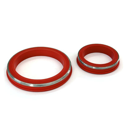 FKM Lip Style resistente alle temperature sigilli di unione a martello con anello SS progettati per ambienti con H2S e CO2