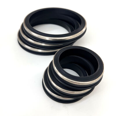 Sigilli resistenti all'H2S FKM con anello di riserva in acciaio inossidabile 15.000 PSI CWP