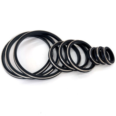 Sigilli resistenti all'H2S FKM con anello di riserva in acciaio inossidabile 15.000 PSI CWP