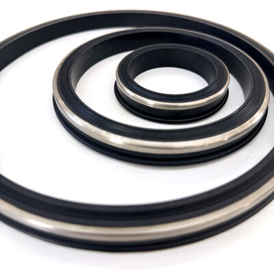 Sigilli resistenti all'H2S FKM con anello di riserva in acciaio inossidabile 15.000 PSI CWP
