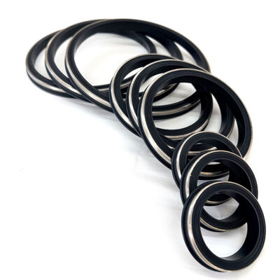 Sigilli resistenti all'H2S FKM con anello di riserva in acciaio inossidabile 15.000 PSI CWP