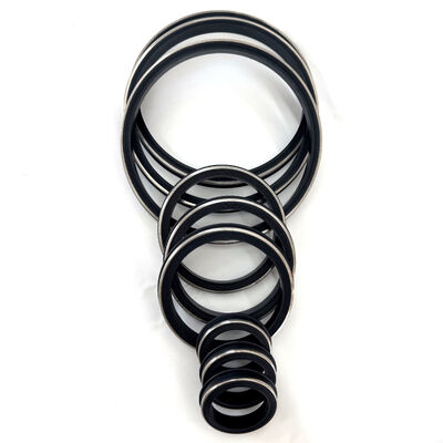 Sigilli resistenti all'H2S FKM con anello di riserva in acciaio inossidabile 15.000 PSI CWP