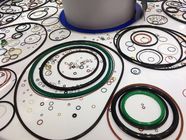 Il fornitore della fabbrica della Cina ha colorato i campioni liberi flessibili resistenti dell'olio di gomma minuscolo degli anelli con sigillo di NBR