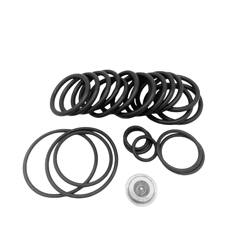 Kit di riparazione personalizzato per la presa di ponte con anelli FKM EPDM NBR 20 attrezzi di impostazione Baker