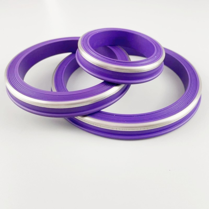 Servizio di gas acidi Fig. 2202/1502/602/1002 Sigillo Buna-N Elastomero Anello labiale