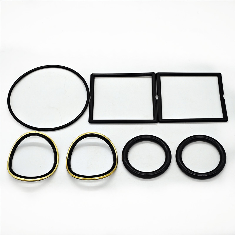 Kit di tenuta della valvola del tappo del campo petrolifero NBR HNBR FKM con retro in ottone o inossidabile