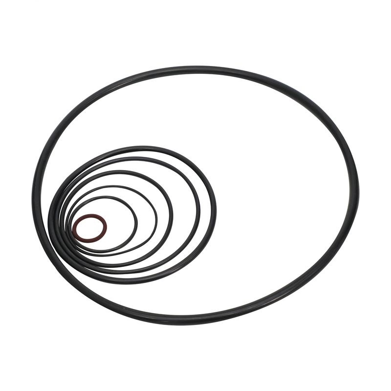 Servizio a temperatura e pressione dell'olio acidi resistenti ai gas ad alte prestazioni AS568 O-ring di gomma per oleodotti