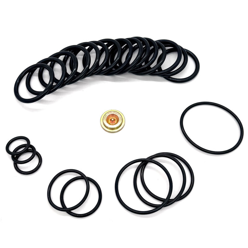15,000 PSI HNBR FKM Aflas NBR Seal Kit per strumento di impostazione della pressione della linea di filo di dimensione 10 ISO 9001 Redress Kit
