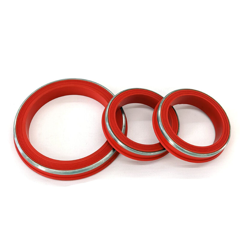 FKM Lip Style resistente alle temperature sigilli di unione a martello con anello SS progettati per ambienti con H2S e CO2