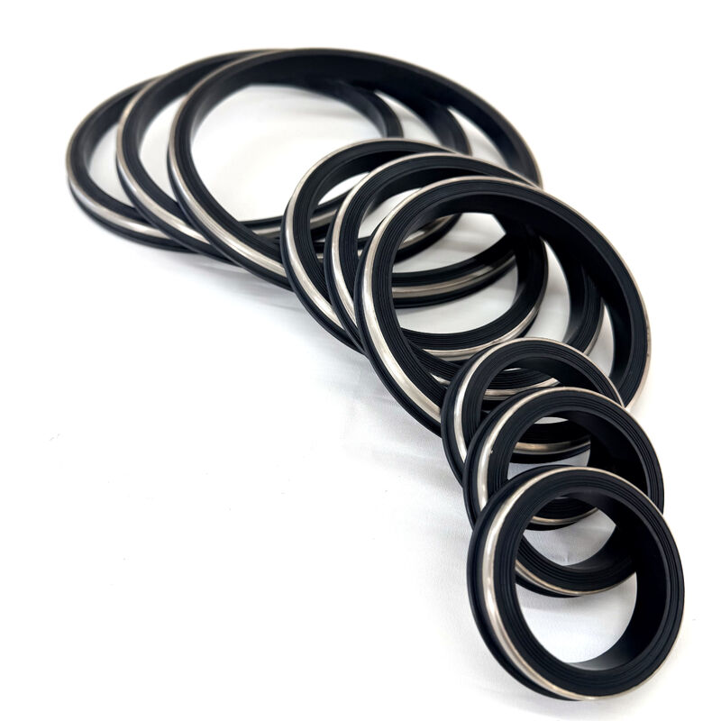 Sigilli resistenti all'H2S FKM con anello di riserva in acciaio inossidabile 15.000 PSI CWP