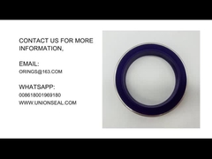 Sigillo dell'Unione del martello